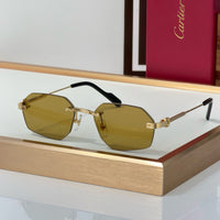 Cartier CT0616S Sunglasses&Photochromic Glasses 🐆