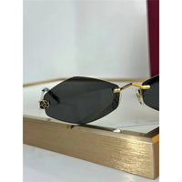 Cartier Eyewear Tiger Head Panthere CT0433S 001 Sunglasses  🐆