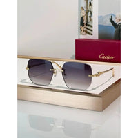 Cartier Panthere CT0549S 001 Sunglasses 🐆