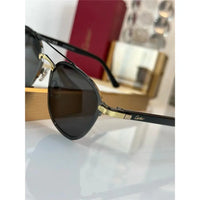 Cartier Photochromic PREMIÈRE DE CARTIER Signature CT0012S Sunglasses 🐆