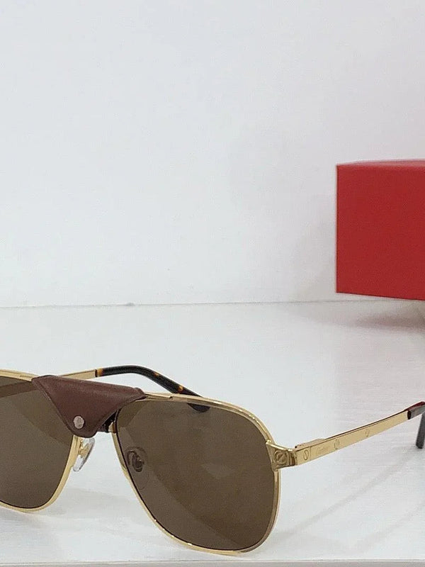 Cartier PREMIÈRE DE CARTIER CT0165S Sunglasses 🐆  $2750