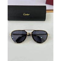 Cartier PREMIÈRE DE CARTIER CT0195S Sunglasses 🐆