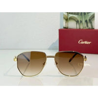 Cartier PREMIÈRE DE CARTIER CT0484O Sunglasses 🐆