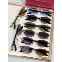 Cartier PREMIÈRE DE CARTIER CT0580S Sunglasses 🐆