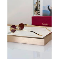 Cartier PREMIÈRE DE CARTIER CT0630S Sunglasses 🐆