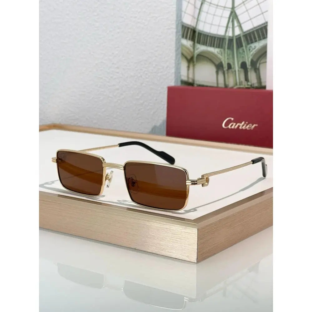 Cartier PREMIÈRE DE CARTIER CT501S Sunglasses 🐆