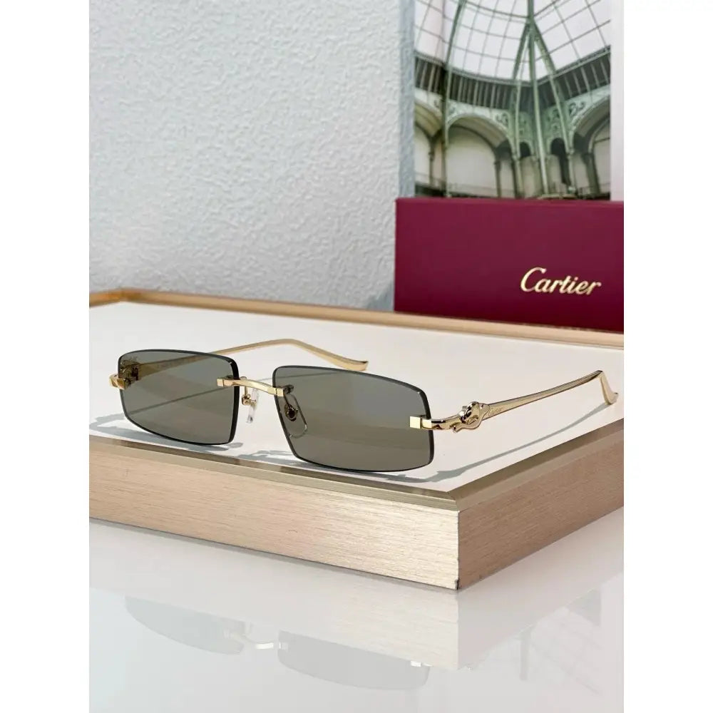 Cartier PREMIÈRE DE CARTIER CT505S Sunglasses-Photochromic Glasses 🐆
