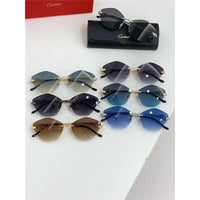 Cartier PREMIÈRE DE CARTIER Panthere CT0429 Sunglasses 🐆