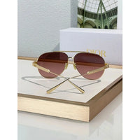 DIOR Dior DiorCannage A1U Sunglasses ✨