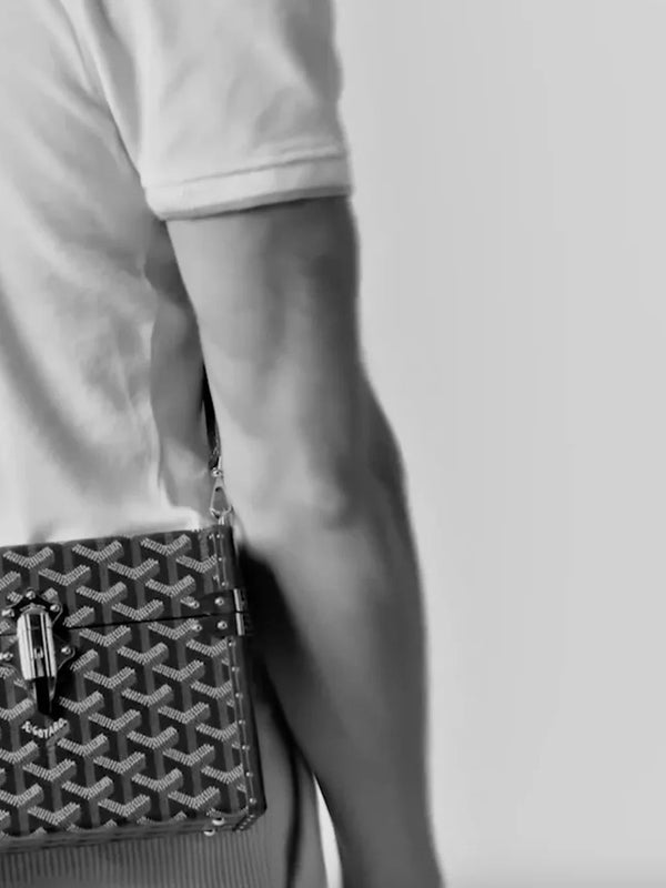 Goyard Cassette Trunk Strap Bag - 11 Available Colors ✨