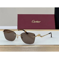 PANTHÈRE DE CARTIER CT 0120 - Platinum-Gold Sunglasses 👑