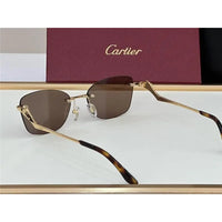 PANTHÈRE DE CARTIER CT 0120 - Platinum-Gold Sunglasses 👑