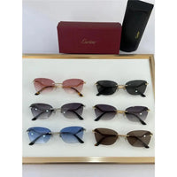 PANTHÈRE DE CARTIER CT 0120 - Platinum-Gold Sunglasses 👑