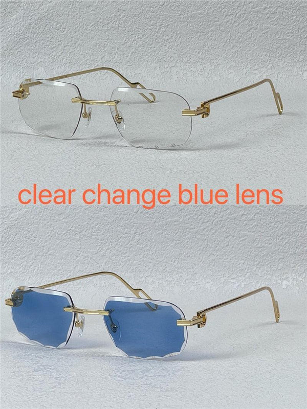 PANTHÈRE DE CARTIER CT CT0162O Photochromic Sunglasses 👑