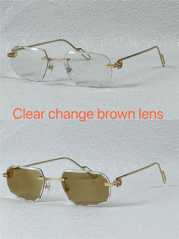 PANTHÈRE DE CARTIER CT CT0162O Photochromic Sunglasses 👑