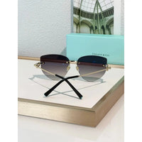 TIFFANY & CO TF3096 Women's Sunglasses ✨