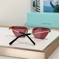 TIFFANY Tiffany & Co. TF3120 Women's Sunglasses ✨
